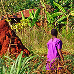 Photo of Uganda farmer